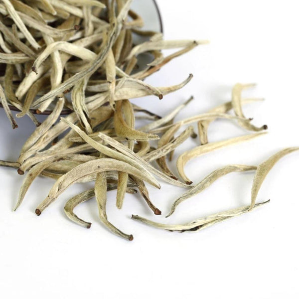 500g Supreme Silver Needle White Tea Chinese Tips Bai hao Yin zhen Loose Leaf 500克特级白毫银针白茶 中国芽尖 散茶