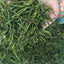 HelloYoungTea 1000g Premium Grade Zhejiang AnJi Bai Pian White Tea An Ji Bai Cha Green Tea