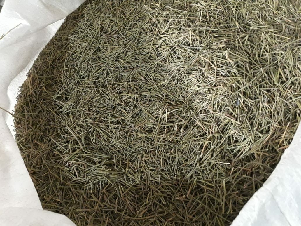 HelloYoung Chinese Medicinal Herb Ma Huang Grade A 250g Main image