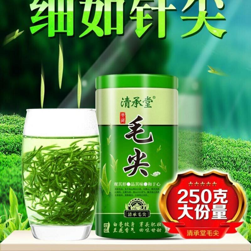 HelloYoungTea Ming Qian Premium Xinyang Maojian Tea Xin Yang Tea Mao Jian Green Tea 250g Tin