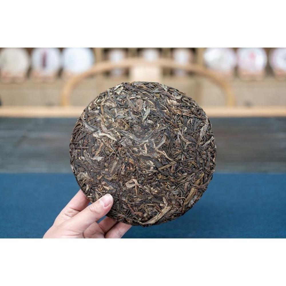 HelloYoungTea 357g Yiwu Green Seal Seven Seed Ancient Tree Yunnan Raw Pu'er Tea Cake 357克易武绿印七子饼古树云南生普洱饼茶
