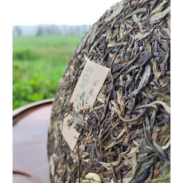 HelloYoungTea 357g Yunnan Puerh Tea Menghai Brown Mountain Cake First Spring Pu'er Raw Tea