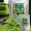 HelloYoung Original Green Tea Boost Metabolism Keto Matcha Weight Loss Slimming Product For Bake Drinks
