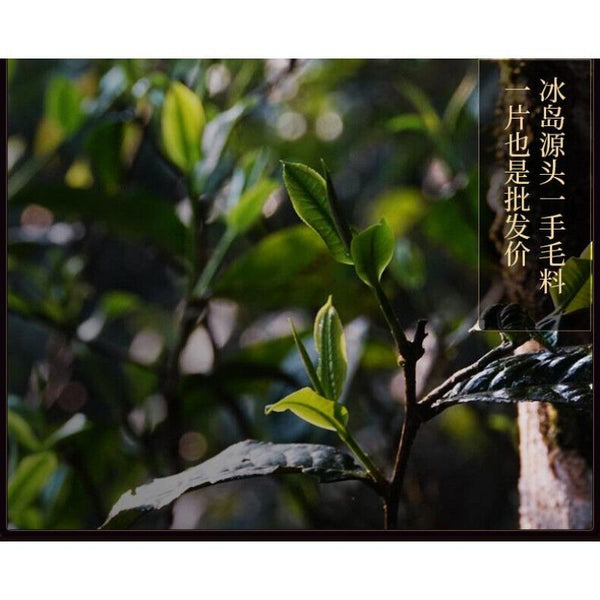 HelloYoungTea 357g Yunnan Tea Cake Icelandic Puerh Tea Ripe Tea Pure Material