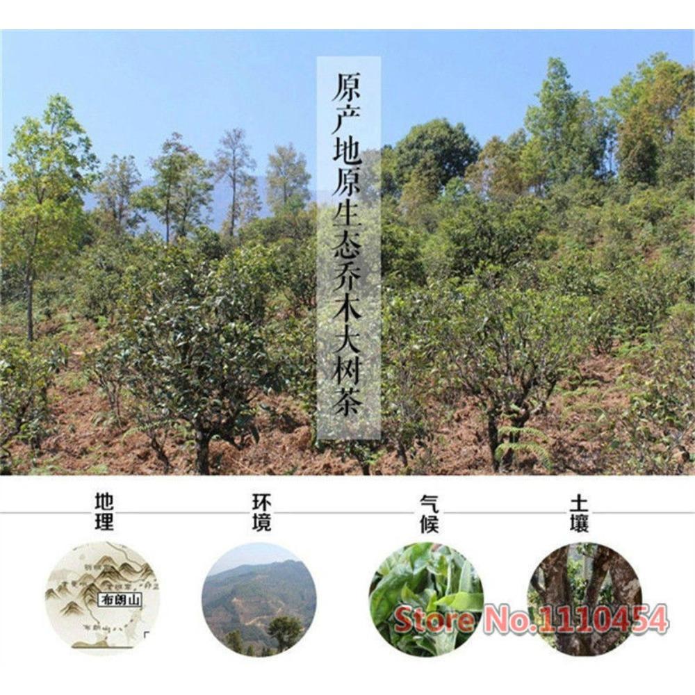 HelloYoungTea Organic Pu erh Tea 100g Brick Natural Yunnan Compressed Dark Tea