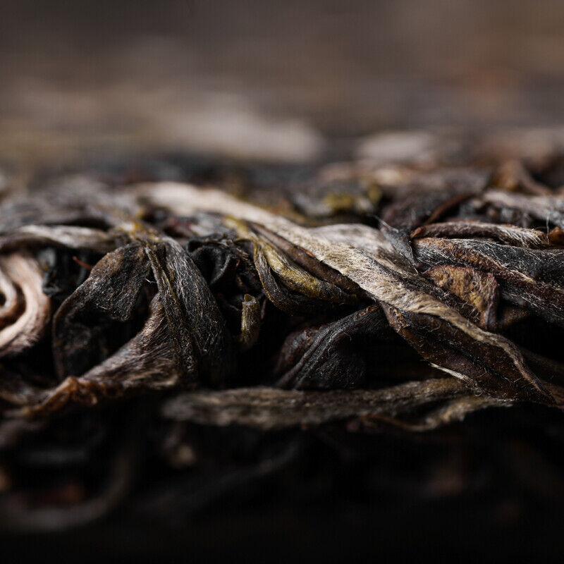 HelloYoungTea Haiwan Pa Sha Gu Shu Sheng Puer Tea Famous Mountain Aged Tree Raw Puer 500g