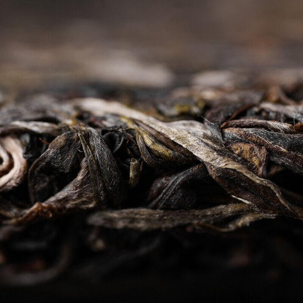 HelloYoungTea Haiwan Pa Sha Gu Shu Sheng Puer Tea Famous Mountain Aged Tree Raw Puer 500g