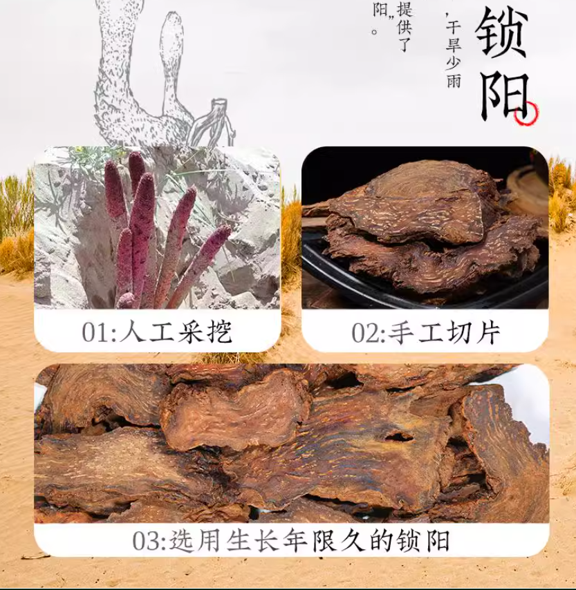 250g Cynomorium Songaricum Slice Organic Chinese Healthy Herbal Suoyang Slices