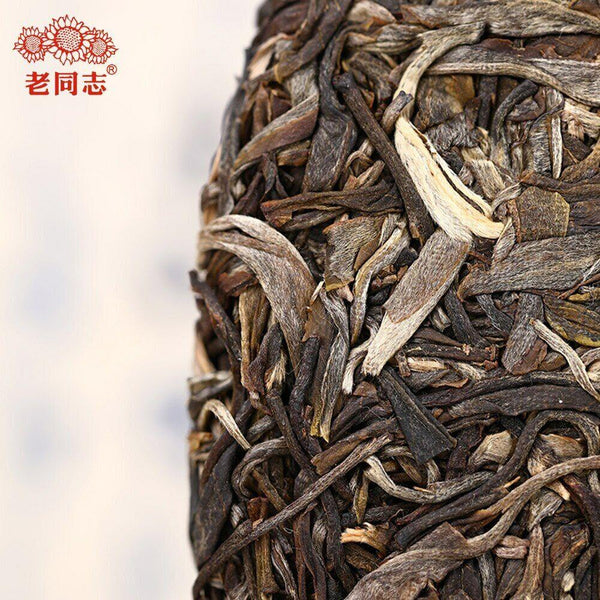 HelloYoungTea Raw Puer Tea Cake 400g Haiwan Sheng Puerh Plant Spirit