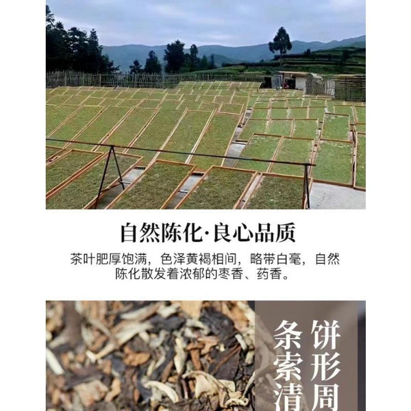 350g Fuding High Mountain White Tea Aged Day Sun Old Tea Cake Gongmei Shoumei