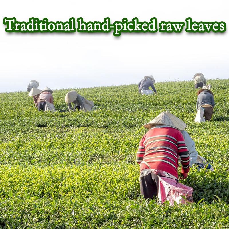 HelloYoungTea Milk Oolong Tea Finely Selected Speciality Tea 250g Strong aroma resistant to brewing