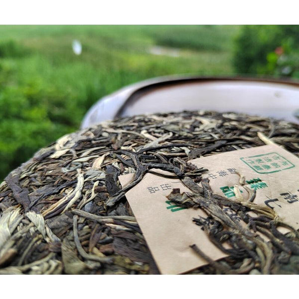HelloYoungTea 357g Yunnan Puerh Tea Menghai Brown Mountain Cake First Spring Pu'er Raw Tea