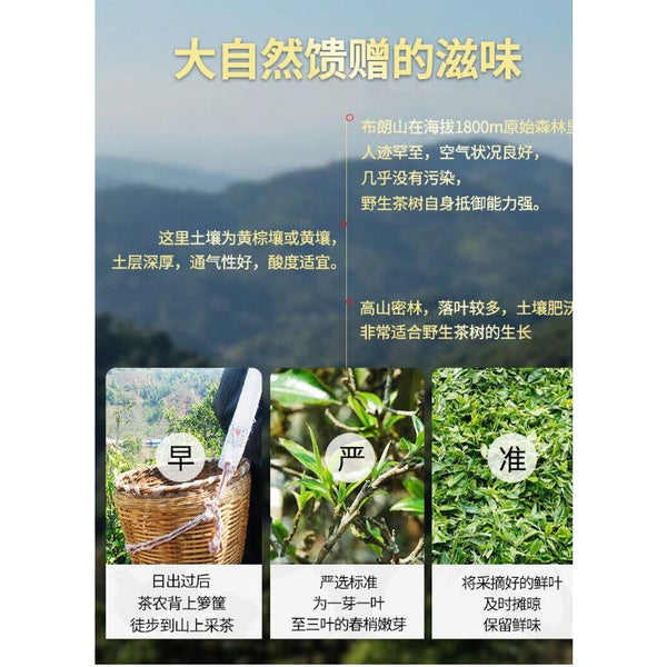 HelloYoungTea 357G Brown Mountain Pu-erh Raw Tea Ancient Pure Material Pu-erh Seven Seed Cake