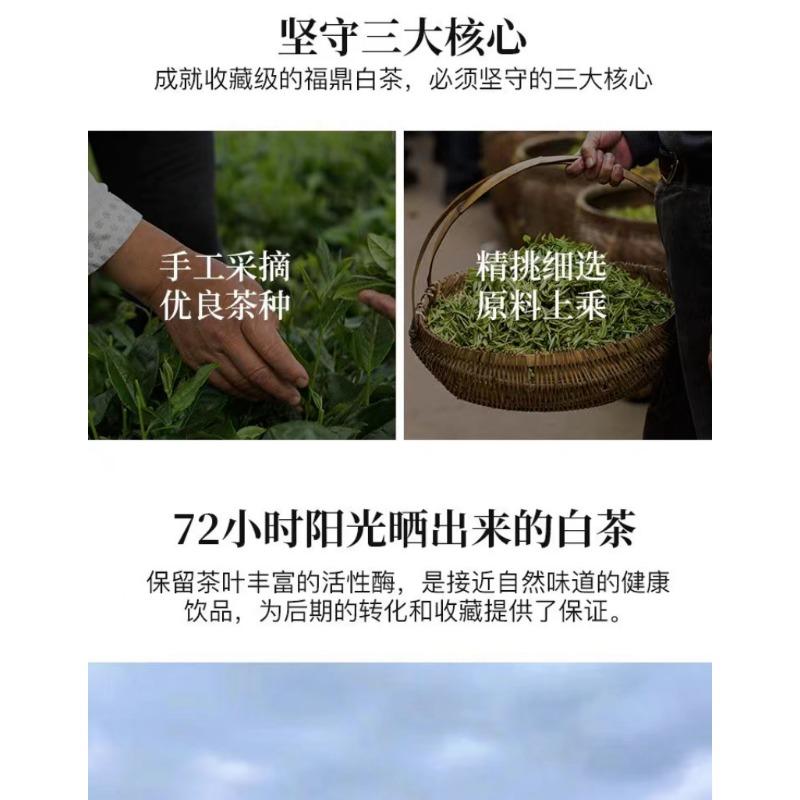 HelloYoungTea 350g Fuding High Mountain White Tea Aged Day Sun Old Tea Cake Gongmei Shoumei