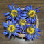 HelloYoungTea 2023 New Blue Lotus Flower Tea, Fresh Egyptian Blue Water Lilies, Dried Blue Lotus Flowers, 50g 2023年新品蓝莲花茶，埃及新鲜蓝睡莲，干蓝莲花，50克
