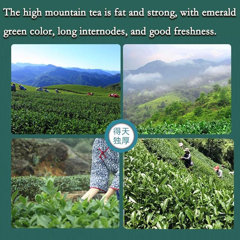HelloYoungTea HelloYoung Jin Xuan Milk Oolong Tea Loose Leaf - Taiwan Alishan High Mountain Oolong Tea Leaves 250g Strong aroma resistant to brewing