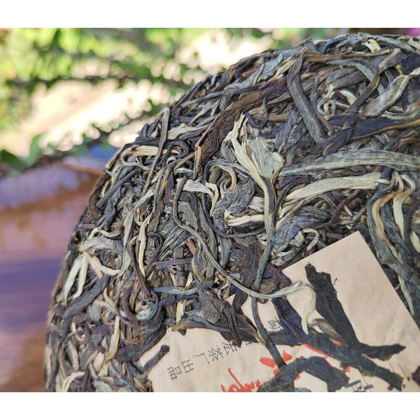 HelloYoungTea 357g Ming Qian Ancient Tree Spring Tea Pu'er Raw Tea Seven Seed Cake Tea