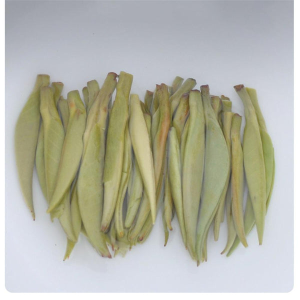HelloYoungTea Silver Needle Organic White Tea 65g Sample Pack Loose Leaf Herbal Drink