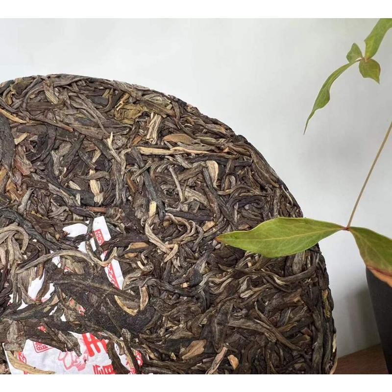 HelloYoungTea Pu-erh Tea 357g Ba Wang Qing Bin (Overlord Green Cake)  Health Tea