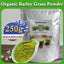 HelloYoung Organic Barley Powder 100% Pure and Natural, No Additives and Preservatives Cold Pressed Rich in Immune Vitamin, Fibers, Minerals, Antioxidants and Protein