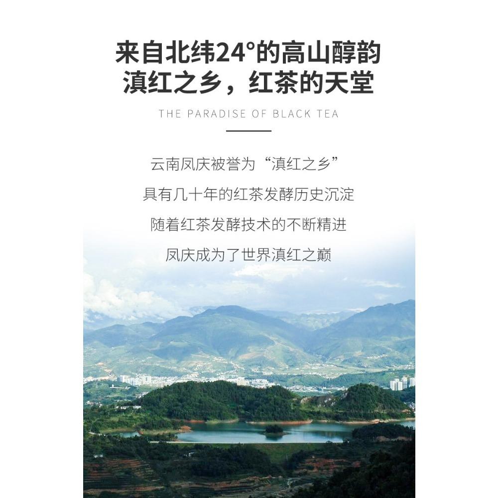 HelloYoungTea 250g Yunnan Dian Hong Black Tea Ancient Tree Tea Brick