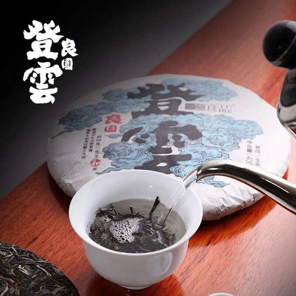 HelloYoungTea Haiwan 2018 Chinese Puer Tea Liang Yuan "Deng Yun" Old Tree Raw Puerh Pu'er 400g