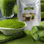 HelloYoung HelloYoung Barley Grass Powder 100% Pure & Organic, Pure Organic Barley, Organic Barley Grass Juice Powder, All Natural Ingredients for Men and Women