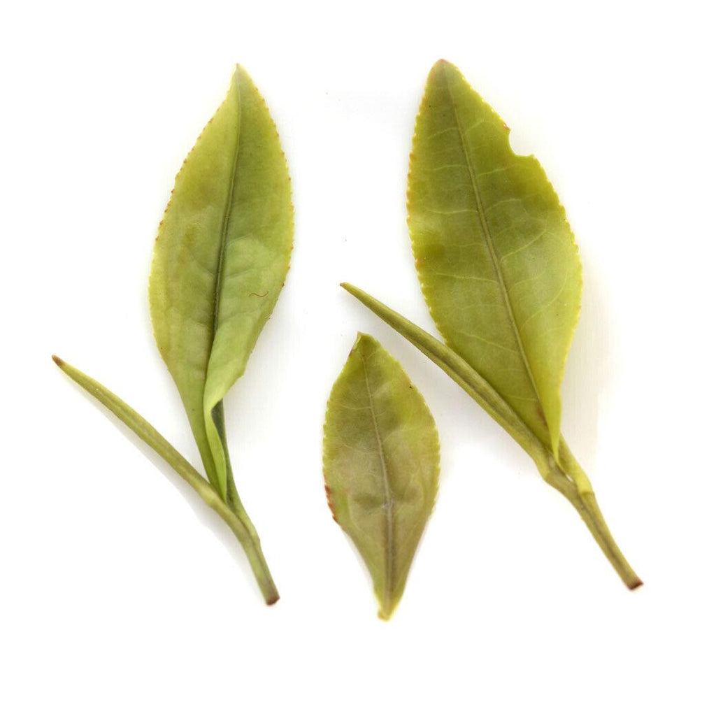 HELLOYOUNG 100g Premium Huangshan Maofeng GREEN TEA Chinese Yellow Mount MaoFeng