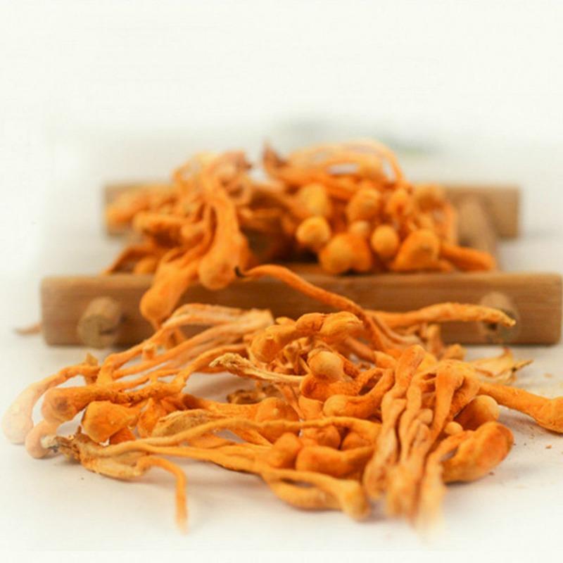 Cordyceps Militaris Powder Organic Mushroom Rich In Protein Amino Acids Herbal