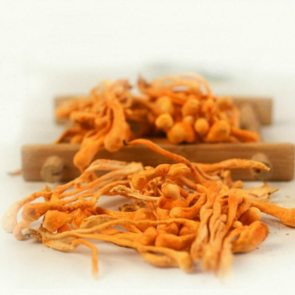 Cordyceps Militaris Powder Organic Mushroom Rich In Protein Amino Acids Herbal