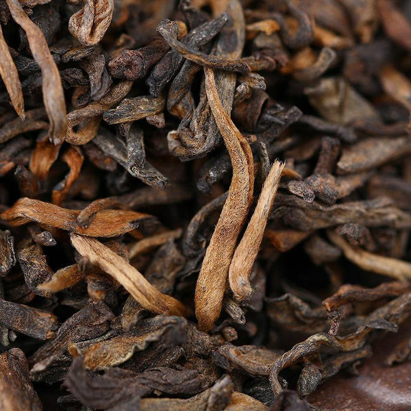 HelloYoungTea Anning Haiwan Tea 2019 Arbor Old Pu'er Special Grade Loose Ripe Puer Tea 100g