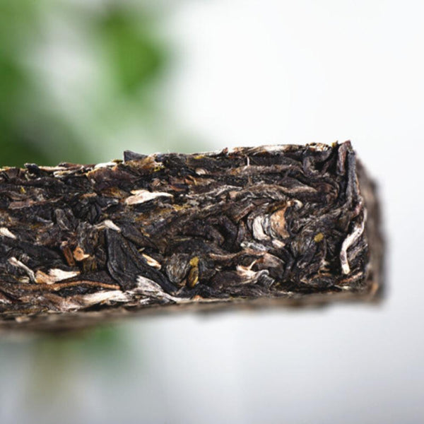 HelloYoungTea Yunnan Green Tea Spring Raw Pu-erh Old Tree Brick 250g