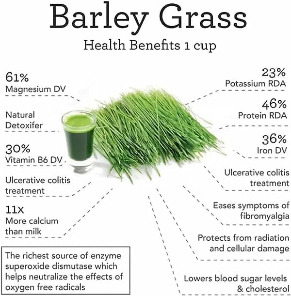 HelloYoung HelloYoung Imported Unsweetened Premium Organic Barley Grass Contains Iron Vitamin C, & Vitamin E – Non-GMO