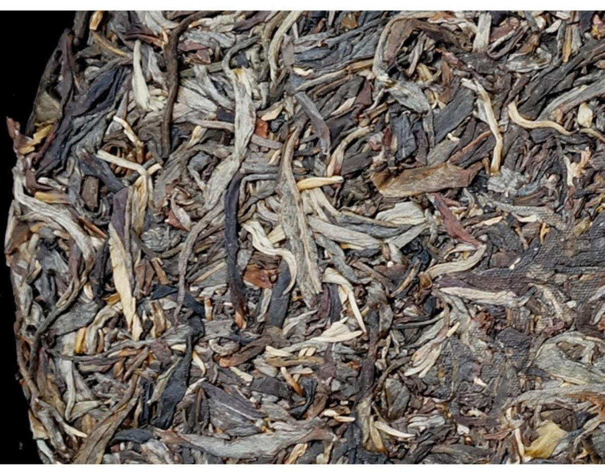 HelloYoungTea Yunnan Yiwu Guafengzhai 2021 Premium Ancient Tree Raw Pu-erh Gong Tea Cake 357g
