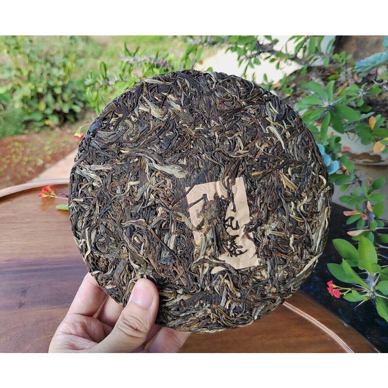 Scraping Walled Pu'er Tea Cake Yiwu Ancient Tree Raw Tea First Spring Yunnan Tea