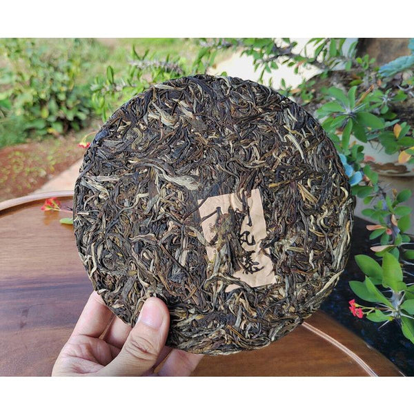 Scraping Walled Pu'er Tea Cake Yiwu Ancient Tree Raw Tea First Spring Yunnan Tea