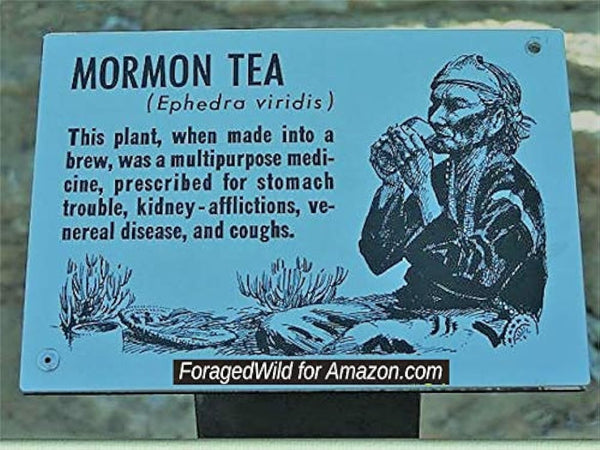 HelloYoung Mormon Tea - Brigham Tea - Ephedra Tea - SUBALPINE | USA WILDCRAFTED 8.8oz Dried