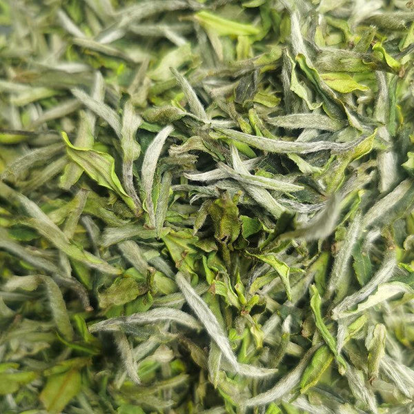 HelloYoungTea Supreme Fat Burner Chinese green white tea healthy tea sencha green tea