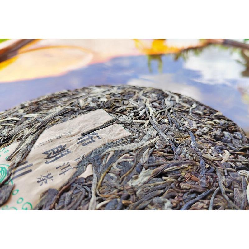 Yunnan Menghai Pu'er Tea Brown Mountain Early Spring Arbor Pu'er Raw Tea Cake
