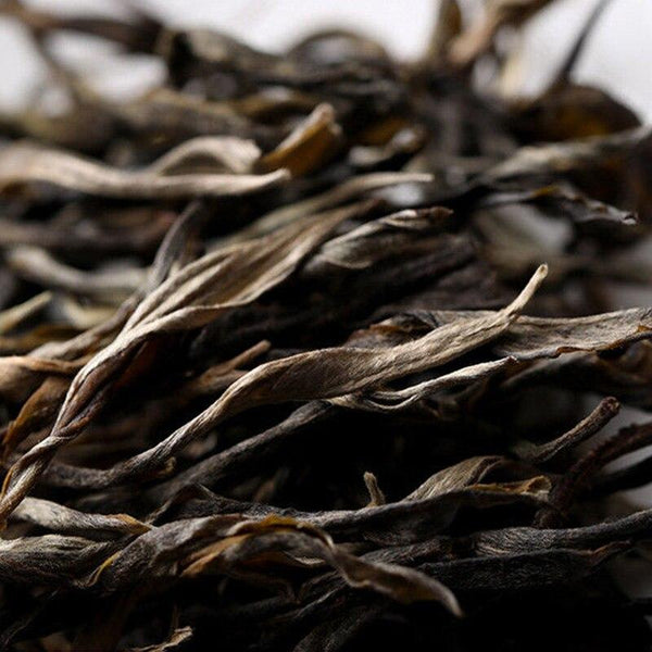 HelloYoungTea Sheng Pu-erh Tea, Yunnan 2021 Loose Leaf Tea - Premium Chinese Tea, Big Tree Tea Zone, Menghai Raw Loose Pu-erh Tea, 750g