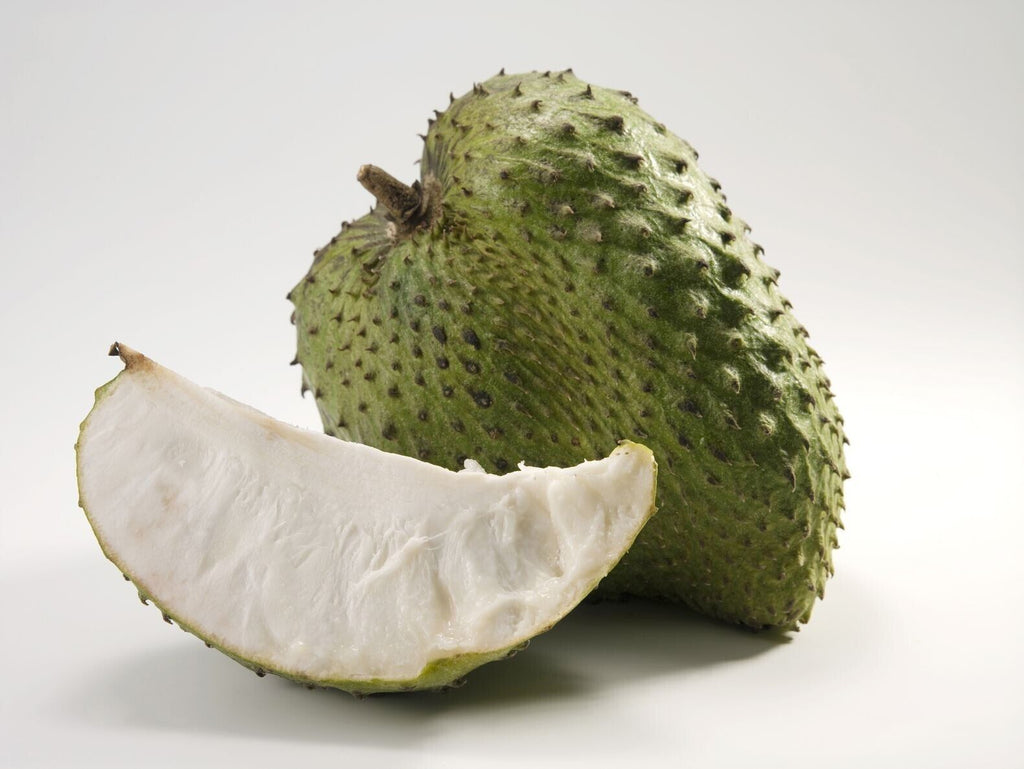 Tea Bags Mega Pack (100) Pure Leaf Soursop-Annona muricata - Guanabana