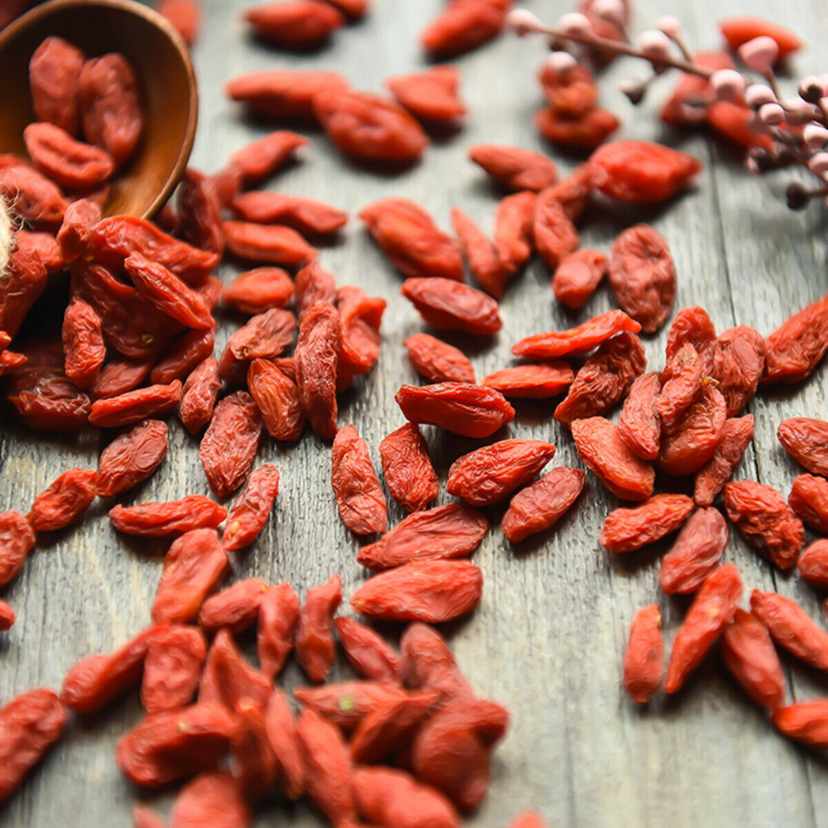 HelloYoung Goji Berries Wolfberry Tea Natural Lycium Chinensis Pure No need Wash Green Food