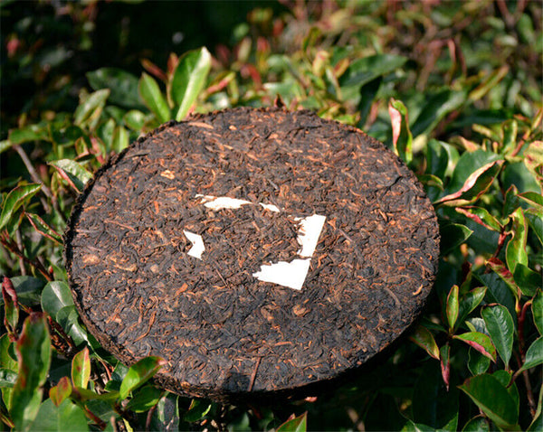 HelloYoung T8663 Xiaguan Jinbang Series Ripe Puer Cake Black Tea Pu erh Tea Cooked Tea 357g