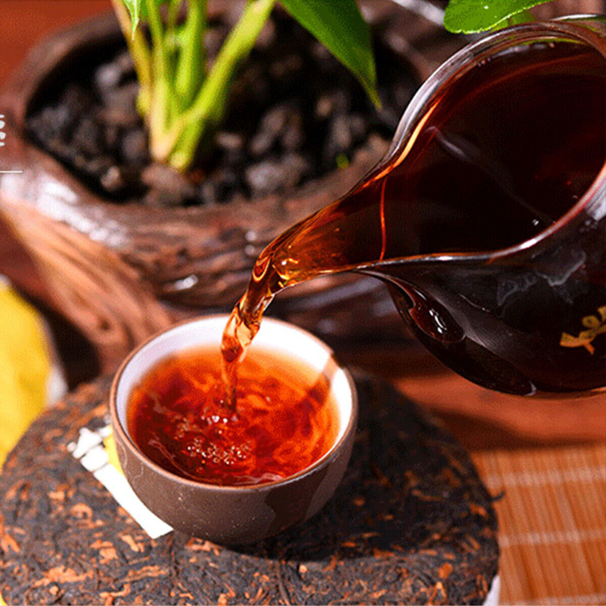HelloYoung 100g Ripe Pu Erh Tea Health Care Organic Black Tea Chinese Puer Tea Green Food