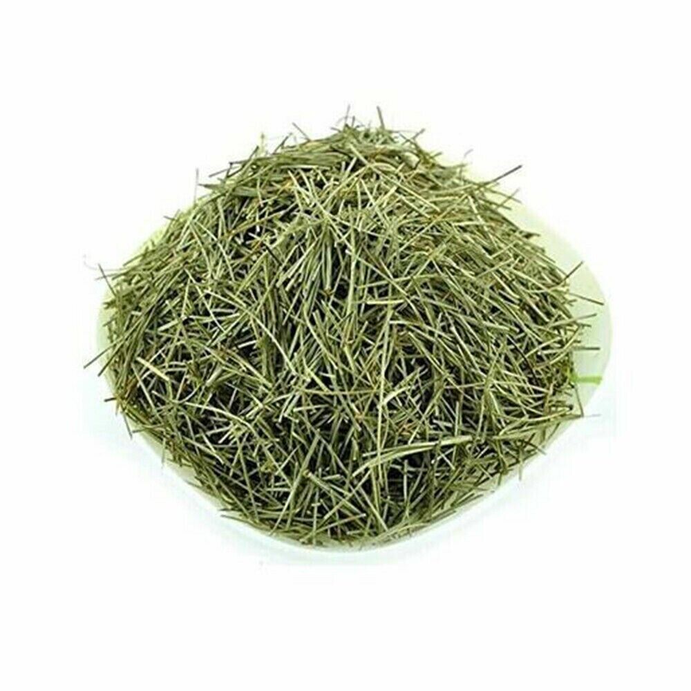 250g Pine Needle Tea Herb Medicine Healthy Anti-Aging Super Food