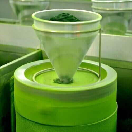 Japanese Matcha Green Tea Aoarashi 100g Kyoto Uji Matcha Powder Secondary image