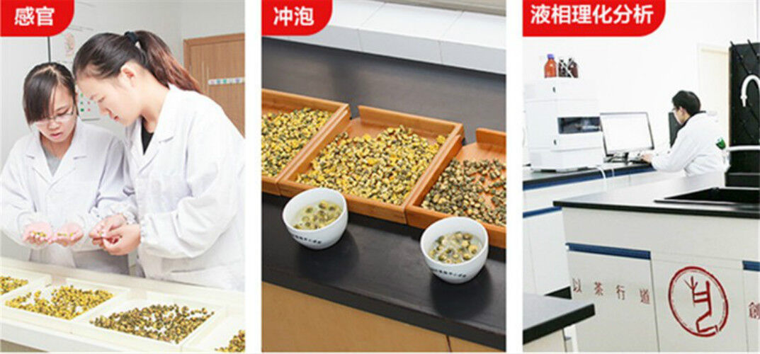 250g New Organic Jasmine Flower Tea Blooming Scented Tea Green Tea Hot sale!