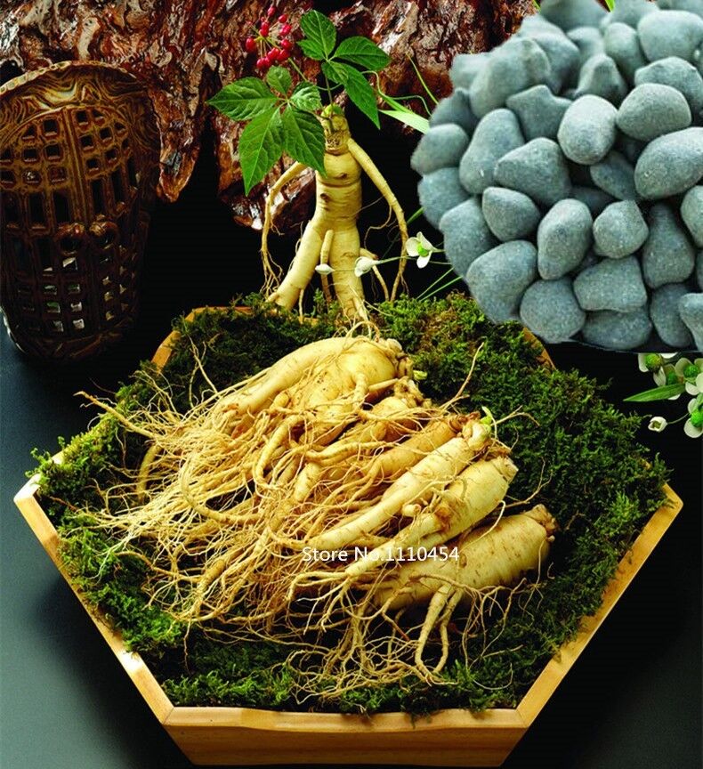 250g High Cost-effective Natural Oolong Ginseng Tea Slimming Beauty Oolong Tea