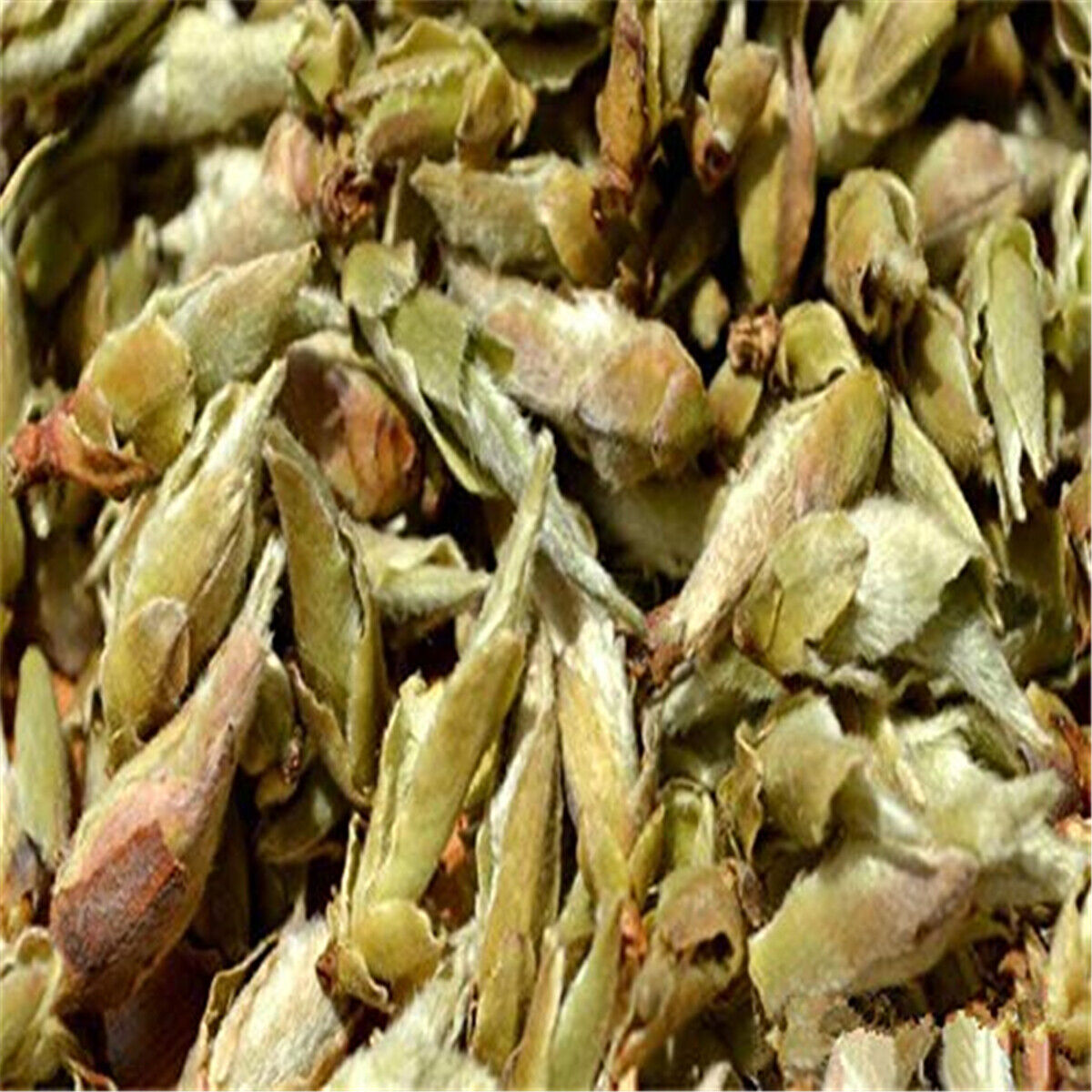 HelloYoung 100g Specials Organic Loose White Tea Pu Er Buds Wild Pu'er Tea China Puerh cha