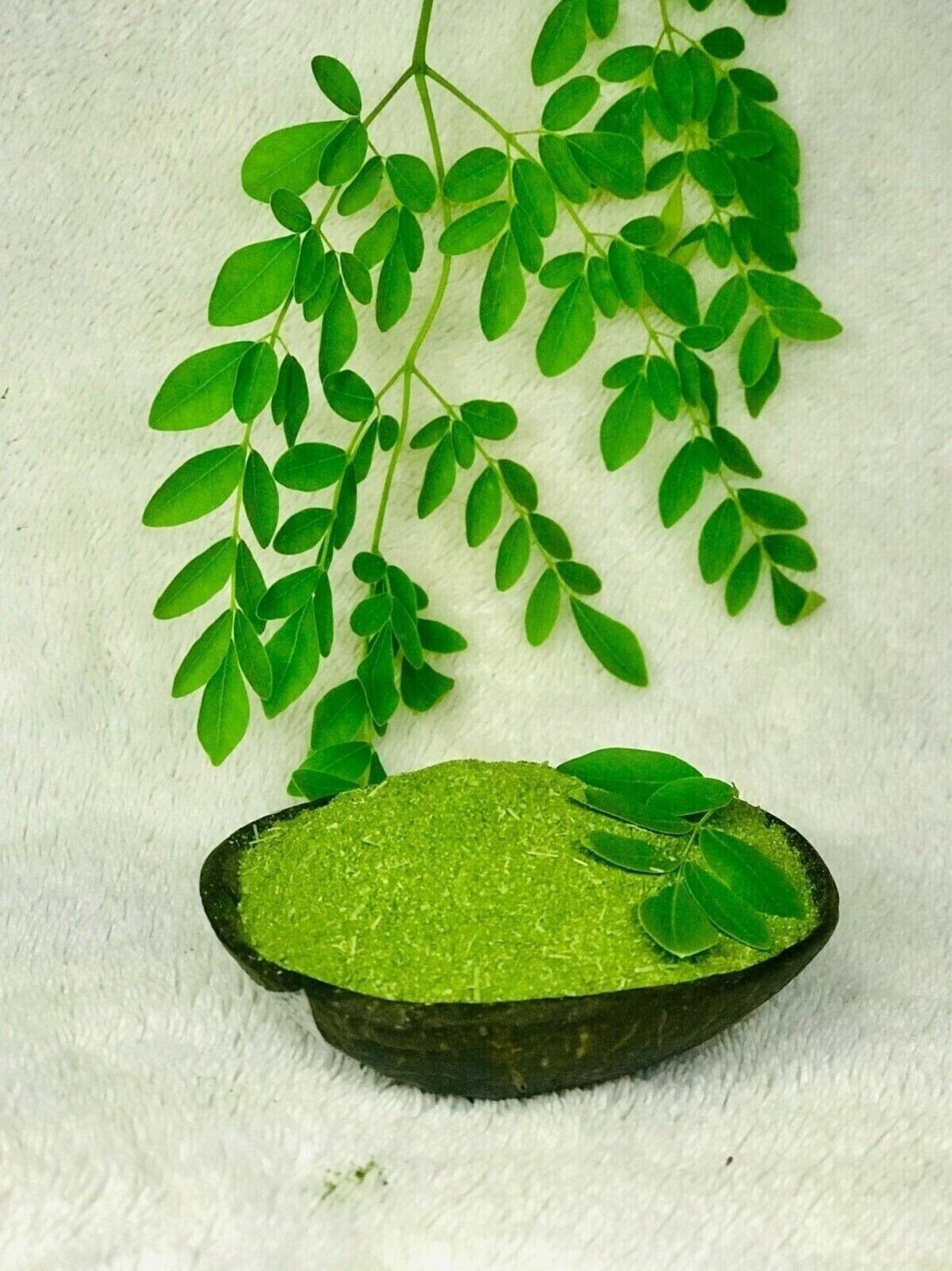 Organic Moringa Leaf Powder Oleifera Premium Herbs Quality Herbal Wholesale Main image